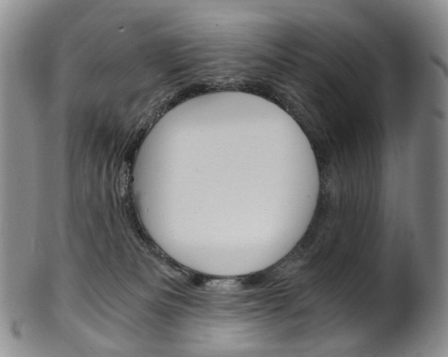 X0000101650133200807100949
