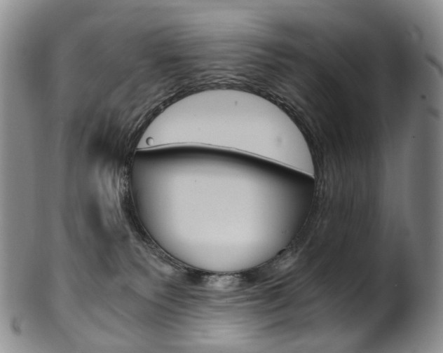X0000101650135200807100949