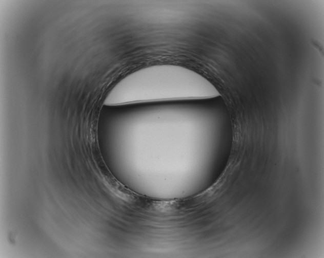 X0000101650136200807100949