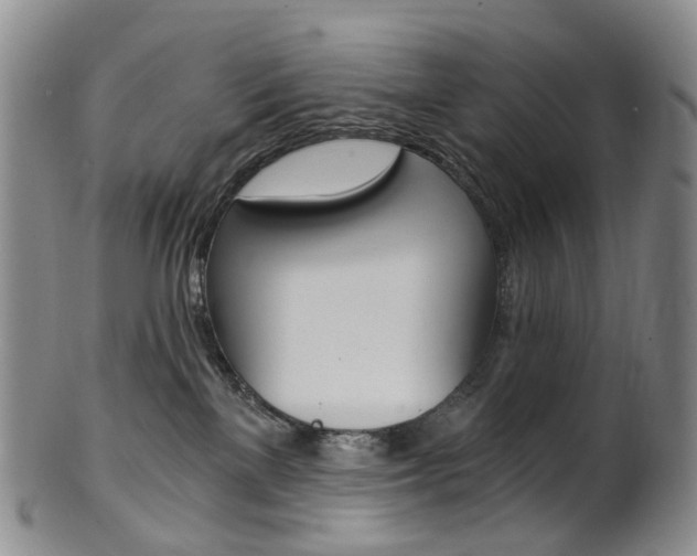 X0000101650137200807100949