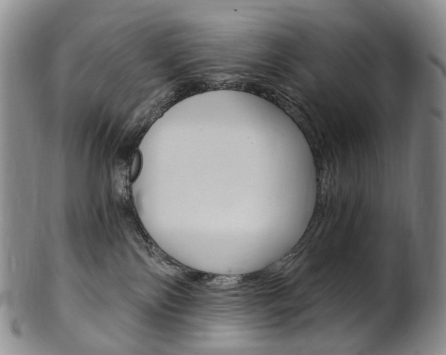 X0000101650138200807100949