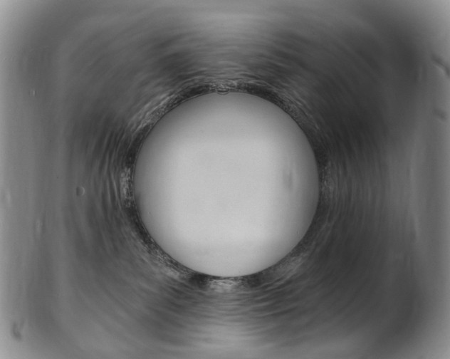 X0000101650139200807100949