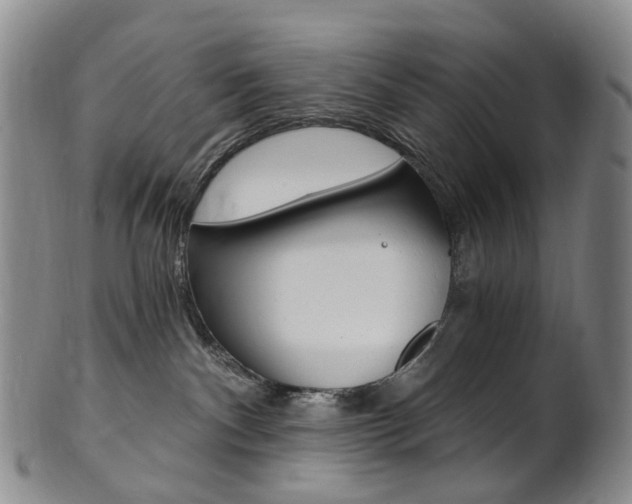 X0000101650140200807100949