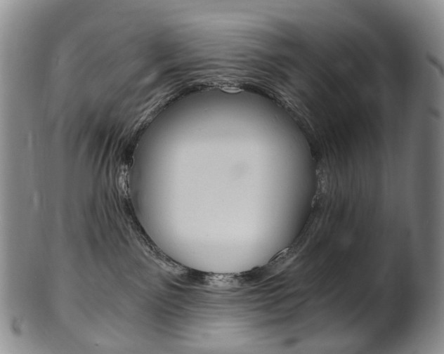 X0000101650141200807100949