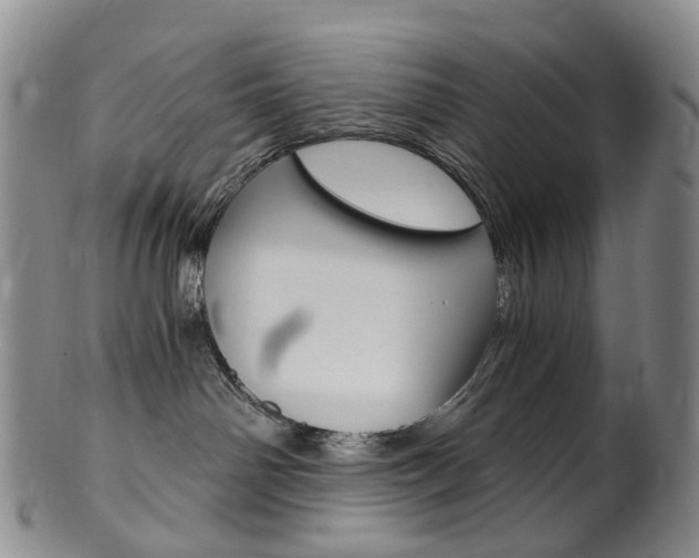X0000101650142200807100948