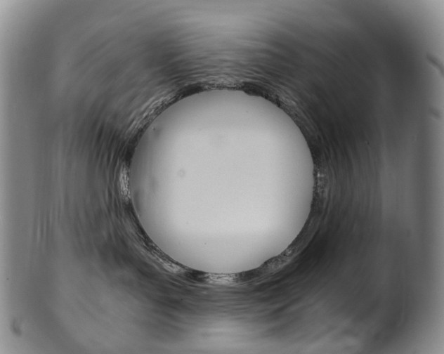 X0000101650143200807100948