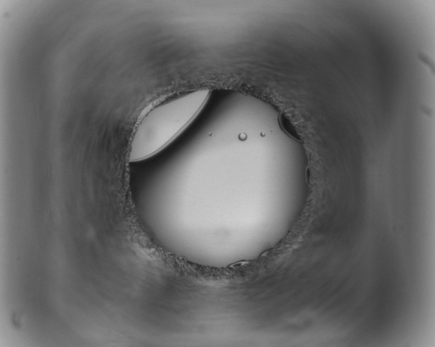 X0000101650144200807100948