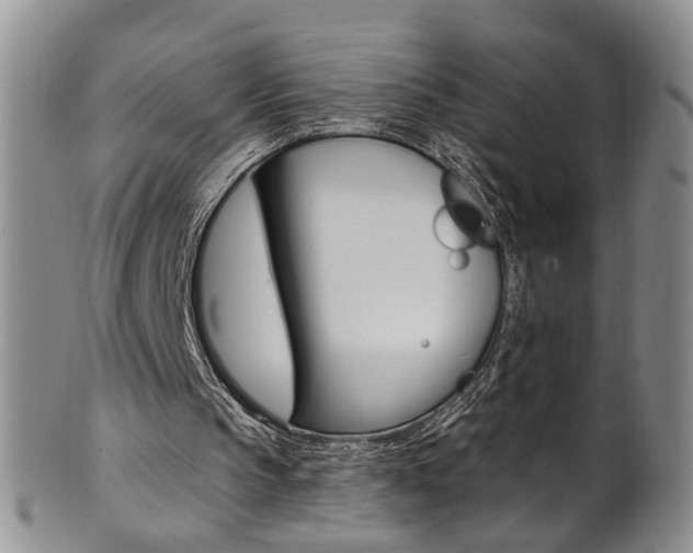 X0000101650145200807100948