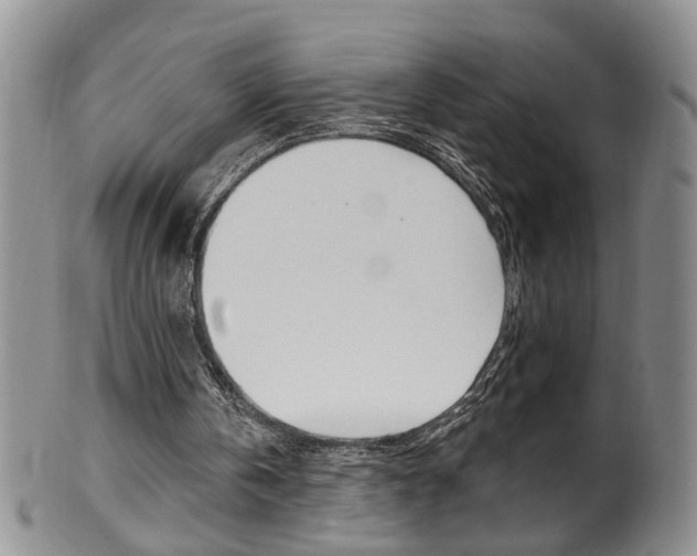 X0000101650146200807100948