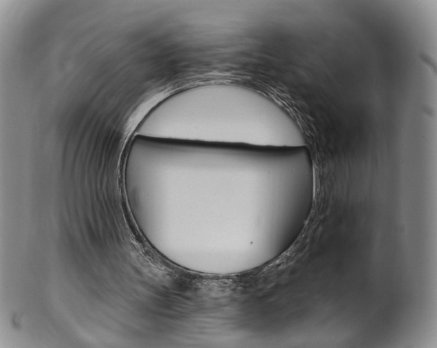 X0000101650147200807100948