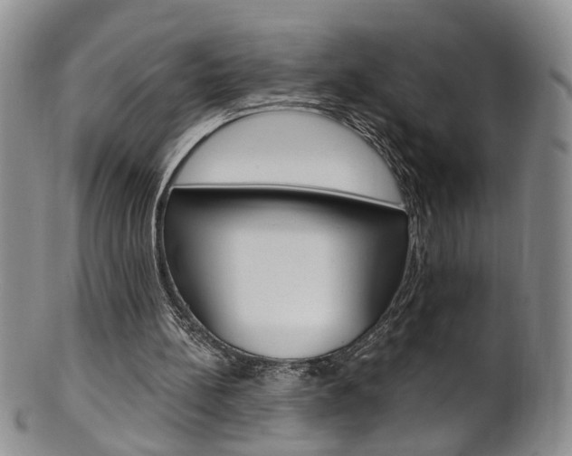 X0000101650148200807100948