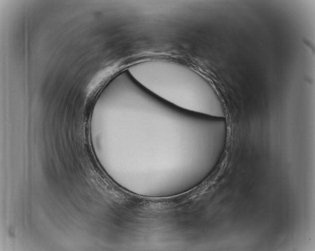 X0000101650149200807100948