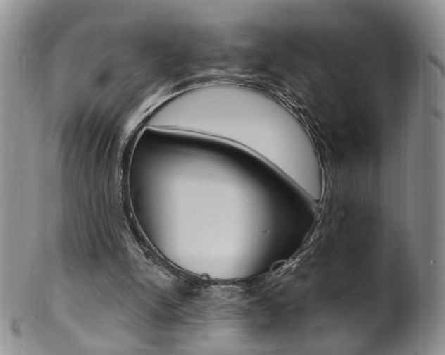 X0000101650150200807100948