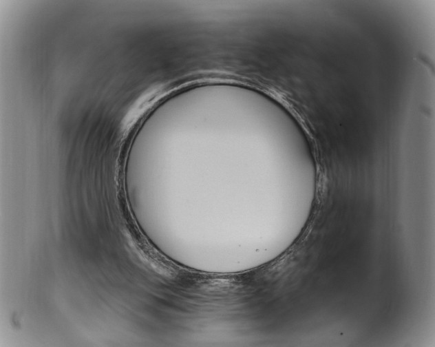 X0000101650151200807100948
