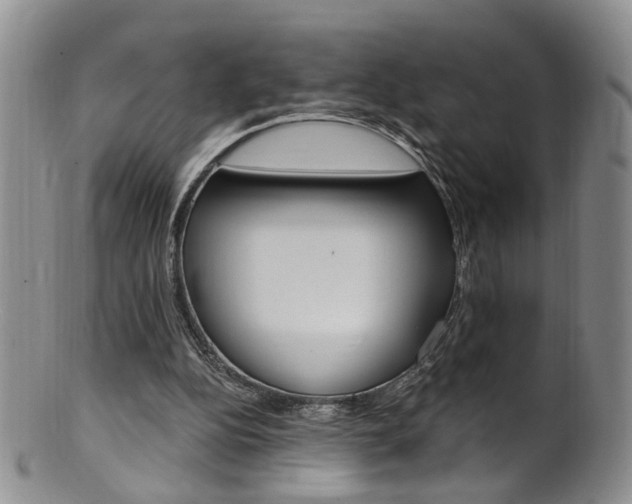 X0000101650152200807100948