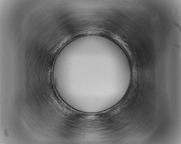 X0000101650153200807100948