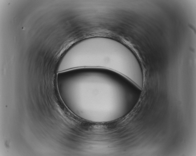 X0000101650154200807100948