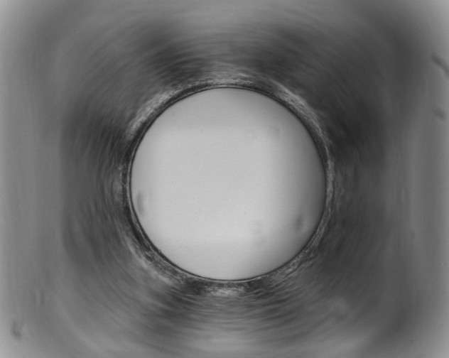 X0000101650155200807100948