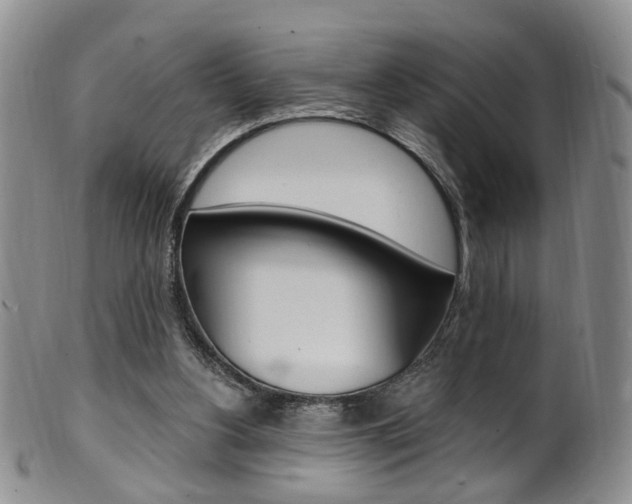 X0000101650156200807100948