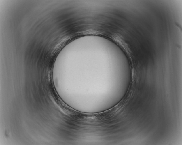 X0000101650157200807100948