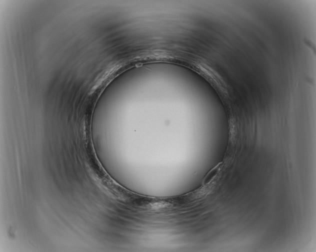 X0000101650158200807100948