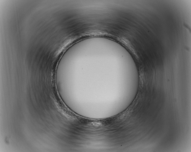 X0000101650159200807100948