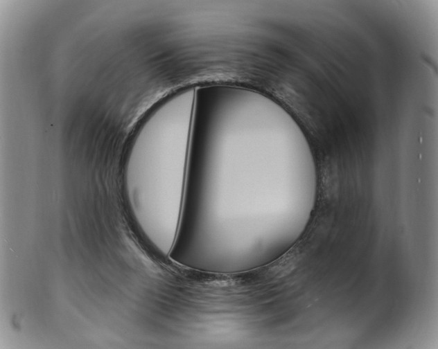 X0000101650160200807100948