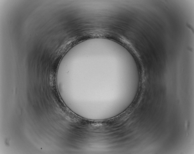 X0000101650161200807100948