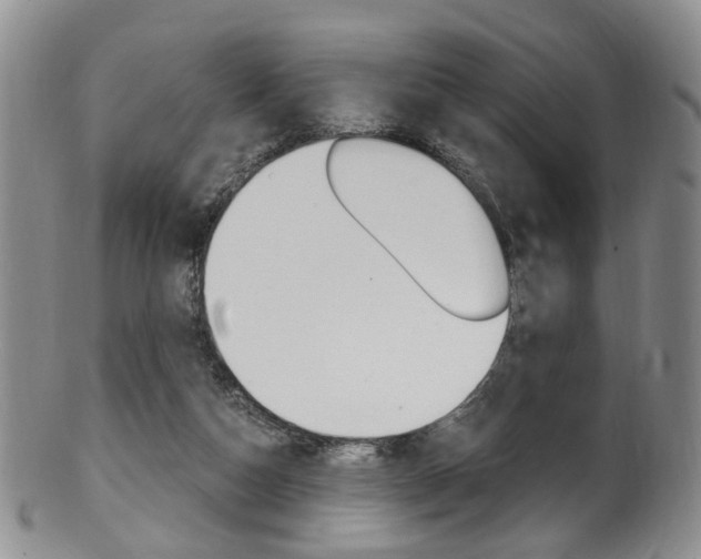 X0000101650162200807100948