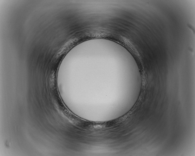 X0000101650163200807100948