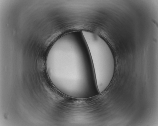 X0000101650164200807100948