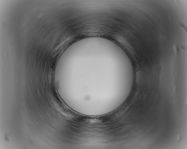 X0000101650165200807100948