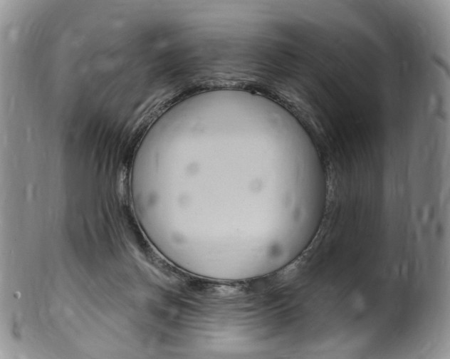 X0000101650166200807100948