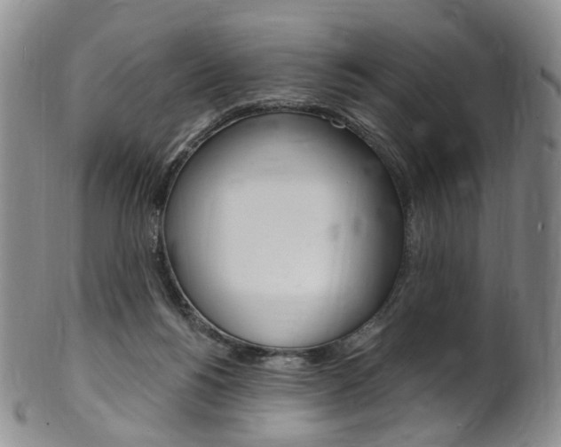 X0000101650168200807100948