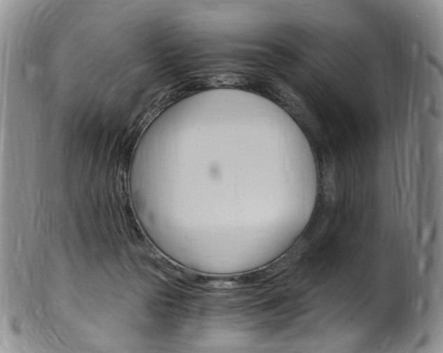 X0000101650169200807100948