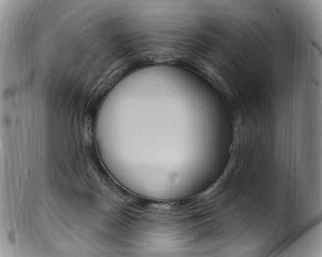 X0000101650170200807100948