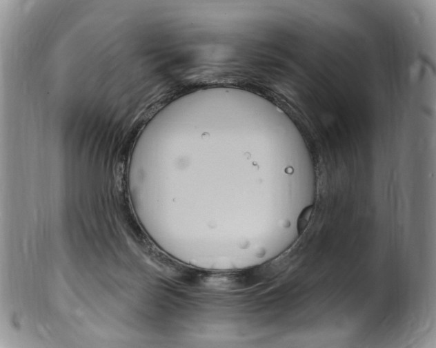 X0000101650171200807100948