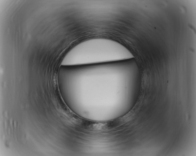 X0000101650172200807100948