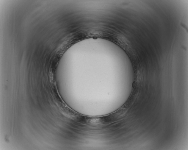 X0000101650173200807100948