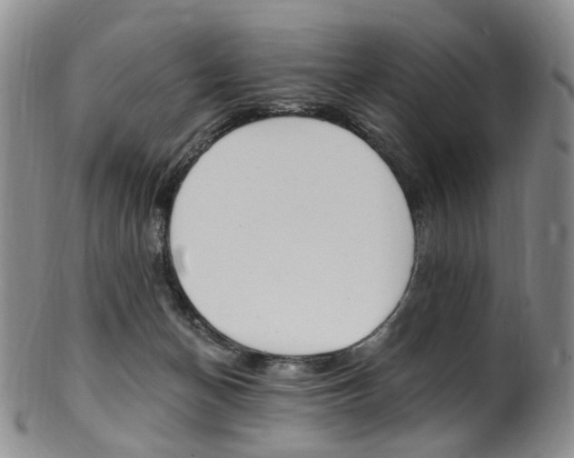 X0000101650174200807100948