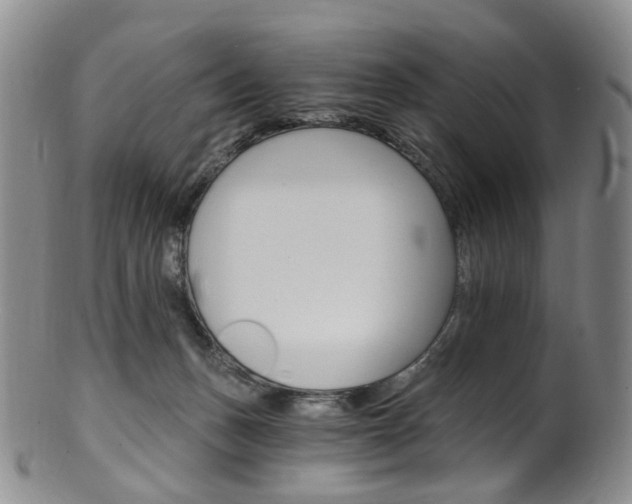 X0000101650175200807100948
