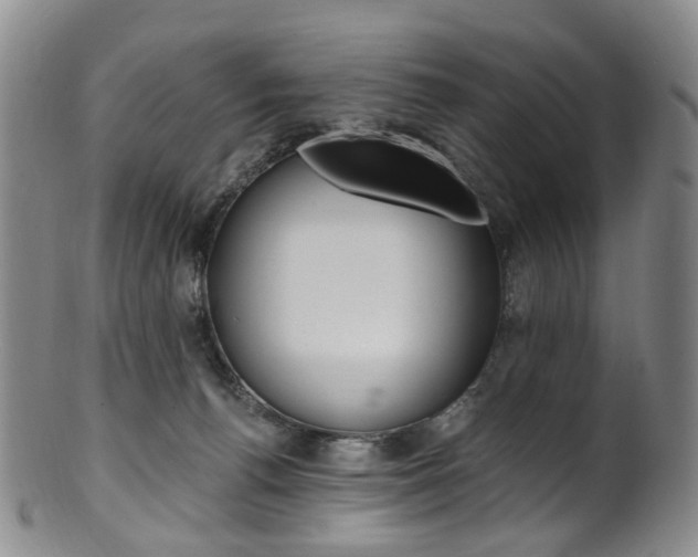 X0000101650176200807100948