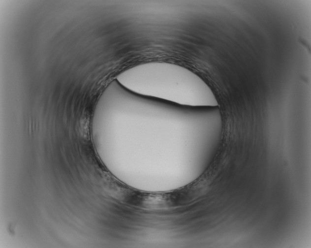 X0000101650177200807100948