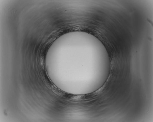 X0000101650178200807100948