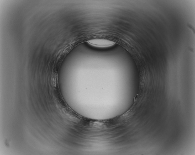 X0000101650180200807100948