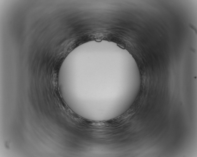 X0000101650181200807100948