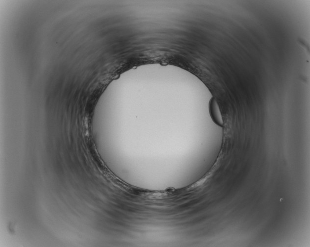 X0000101650182200807100948