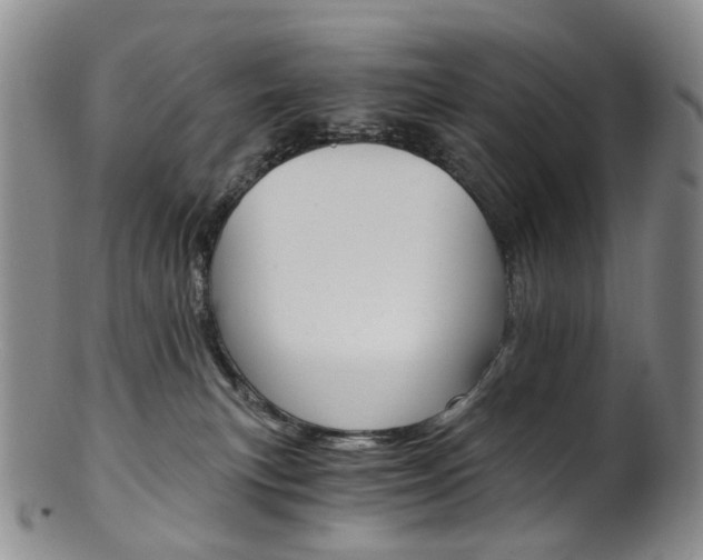 X0000101650183200807100948