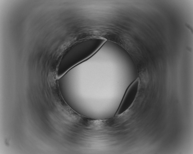 X0000101650184200807100948