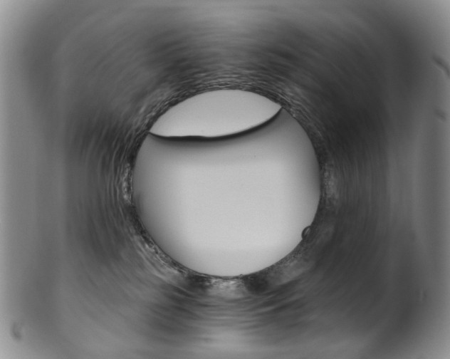 X0000101650185200807100948